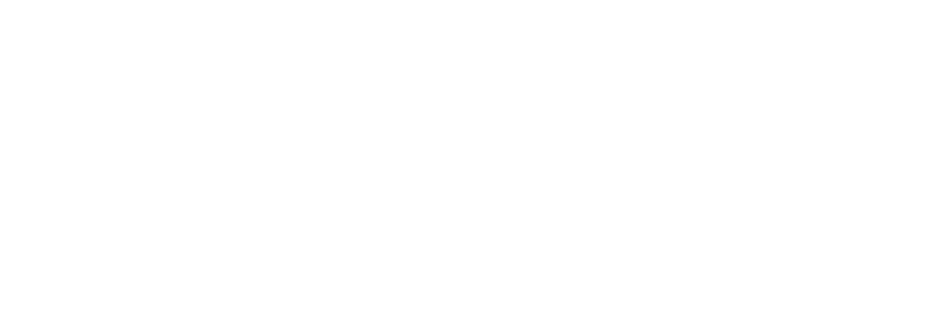 SVbriX